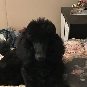 Meet your Posher, Cathy price at